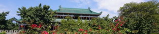 建昌花漾,探寻古韵新风的诗意家园