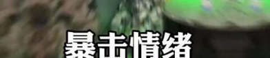 淄博网红解压馆,打造城市新宠，释放压力的奇幻空间